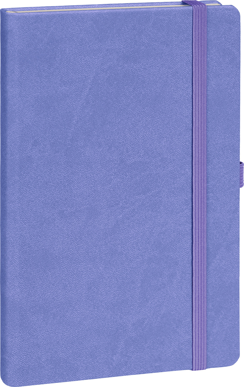 Notes Lila, bodkovaný, 13 × 21 cm