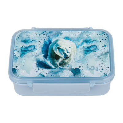 Box na desiatu s priehradkami Polar