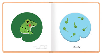 MOJE MLÁĎATKÁ – Klap klap obrázky