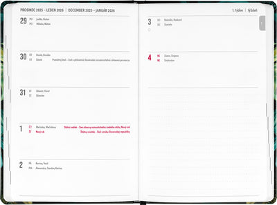 18-mesačný diár Petito – Monstera 2025/2026, 11 x 17 cm