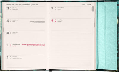 Týždenný magnetický diár Monstera 2026, 11 x 16 cm