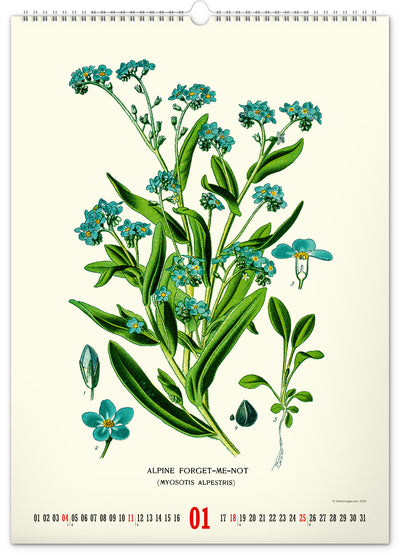 Nástenný kalendár Vintage plagáty – herbár 2026, 33 x 46 cm