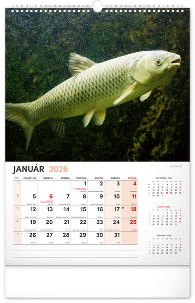 Nástenný kalendár Rybársky 2026, 33 x 46 cm