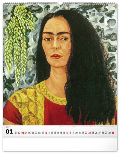 Nástenný kalendár Frida Kahlo 2027, 48 x 56 cm