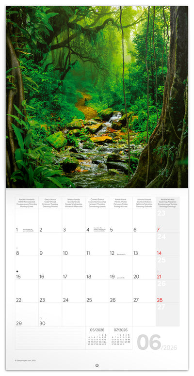 Poznámkový kalendár Dažďové pralesy 2026, 30 x 30 cm