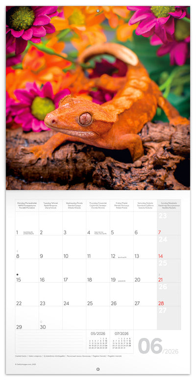 Poznámkový kalendár Jaštery 2026, 30 x 30 cm