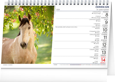 Stolový kalendár Koně – Kone CZ/SK 2026, 23,1 x 14,5 cm