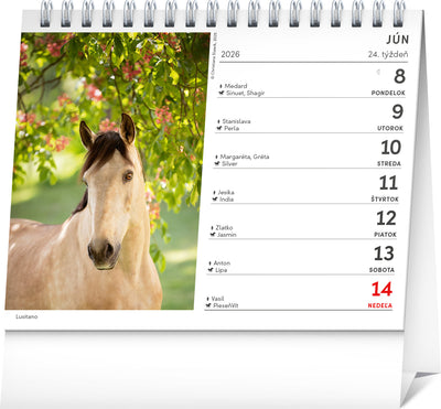 Stolový kalendár Poézia koní 2026, 16,5 x 13 cm