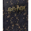 Dosky na školské zošity A4 Harry Potter Záškodnícka mapa