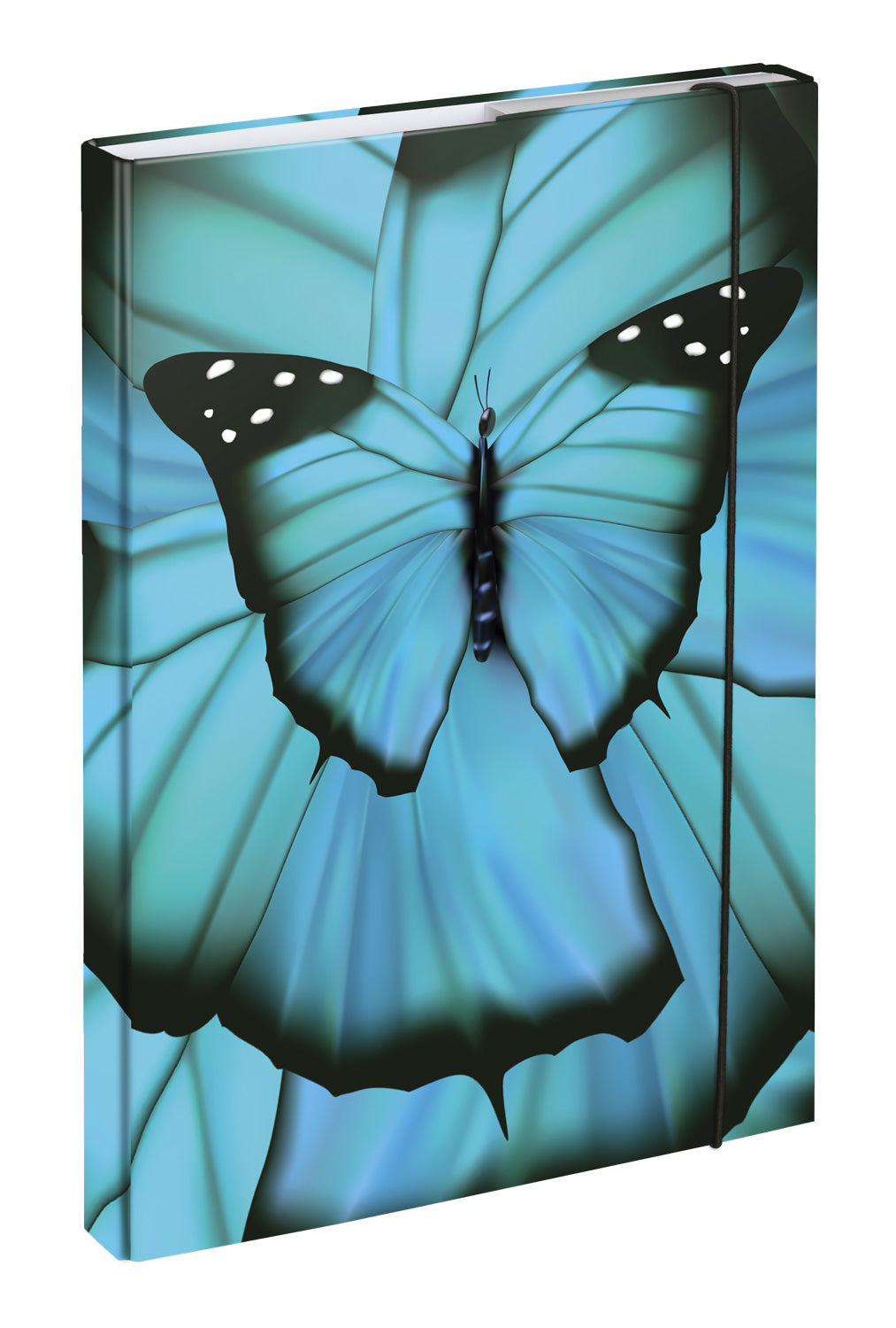 Školská sada Ergo Butterfly II