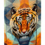 Školská sada Shelly Wild Tiger II