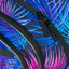 Školská sada Core Palm