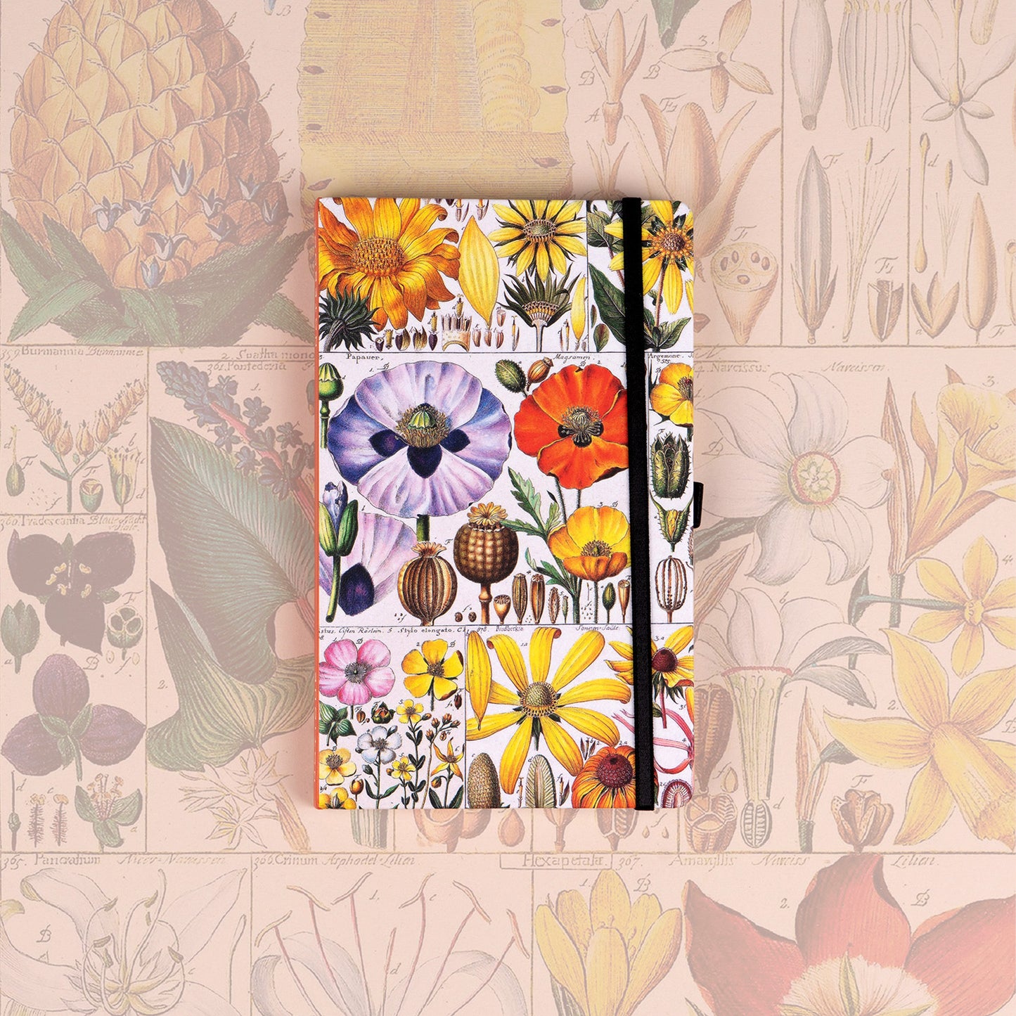 Notes Herbár Kateřiny Winterové, bodkovaný, 13 × 21 cm