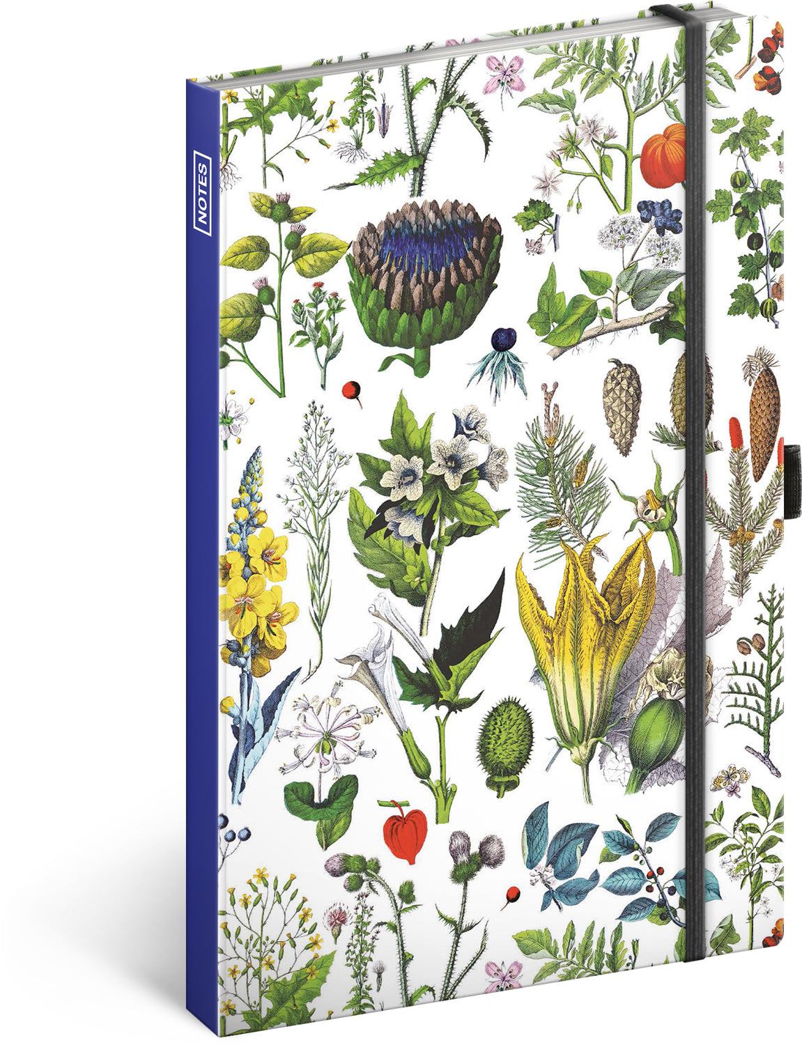 Notes Bylinky Kateřiny Winterové, bodkovaný, 13 × 21 cm
