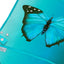 Detská zástera Butterfly