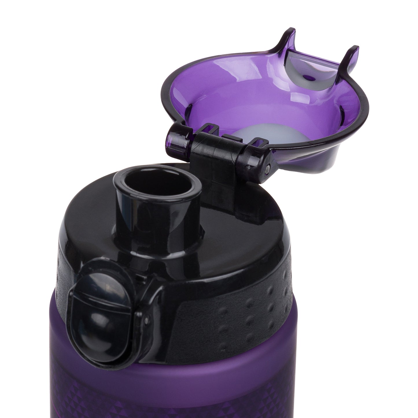 Tritanová fľaša na nápoje Plum, 700 ml