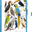 Notes Animalium – Vtáky, linajkovaný, 13 x 21 cm