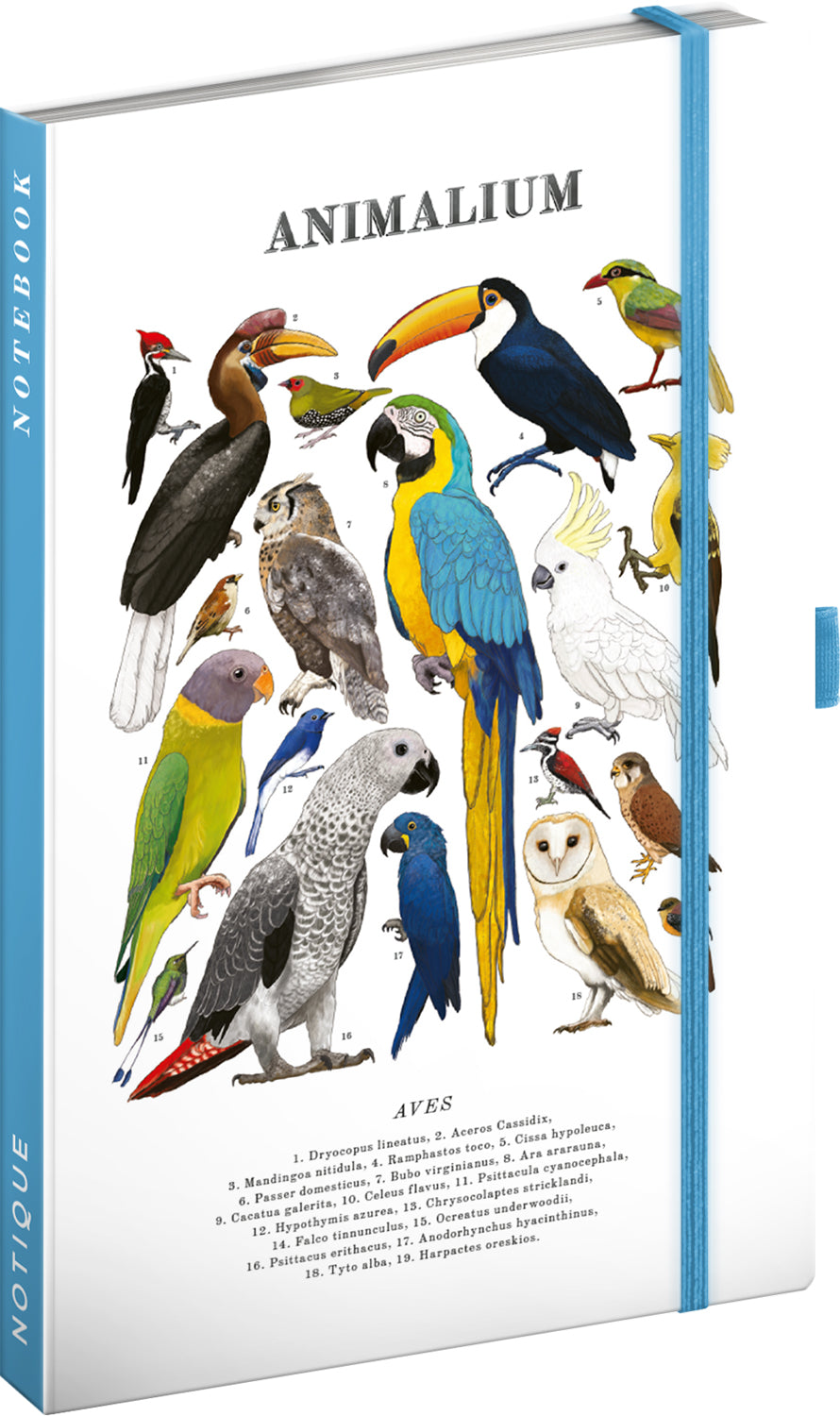 Notes Animalium – Vtáky, linajkovaný, 13 x 21 cm