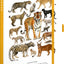 Notes Animalium – Mačkovité šelmy, linajkovaný, 13 x 21 cm