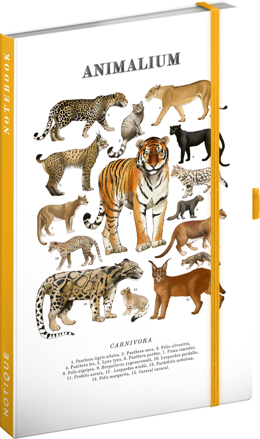 Notes Animalium – Mačkovité šelmy, linajkovaný, 13 x 21 cm