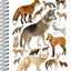 Špirálový blok Animalium – Psovité šelmy, linajkovaný, A4