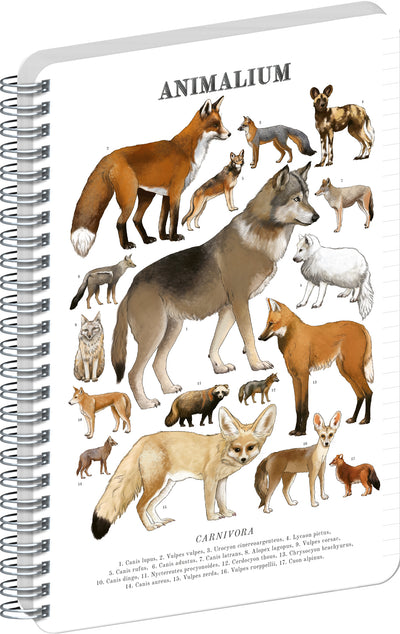 Špirálový blok Animalium – Psovité šelmy, linajkovaný, A5