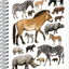 Špirálový blok Animalium – Nepárnokopytníky, štvorčekovaný, A5