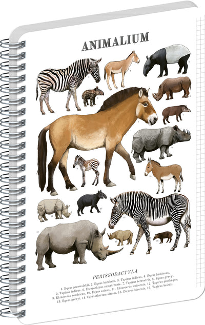 Špirálový blok Animalium – Nepárnokopytníky, štvorčekovaný, A5