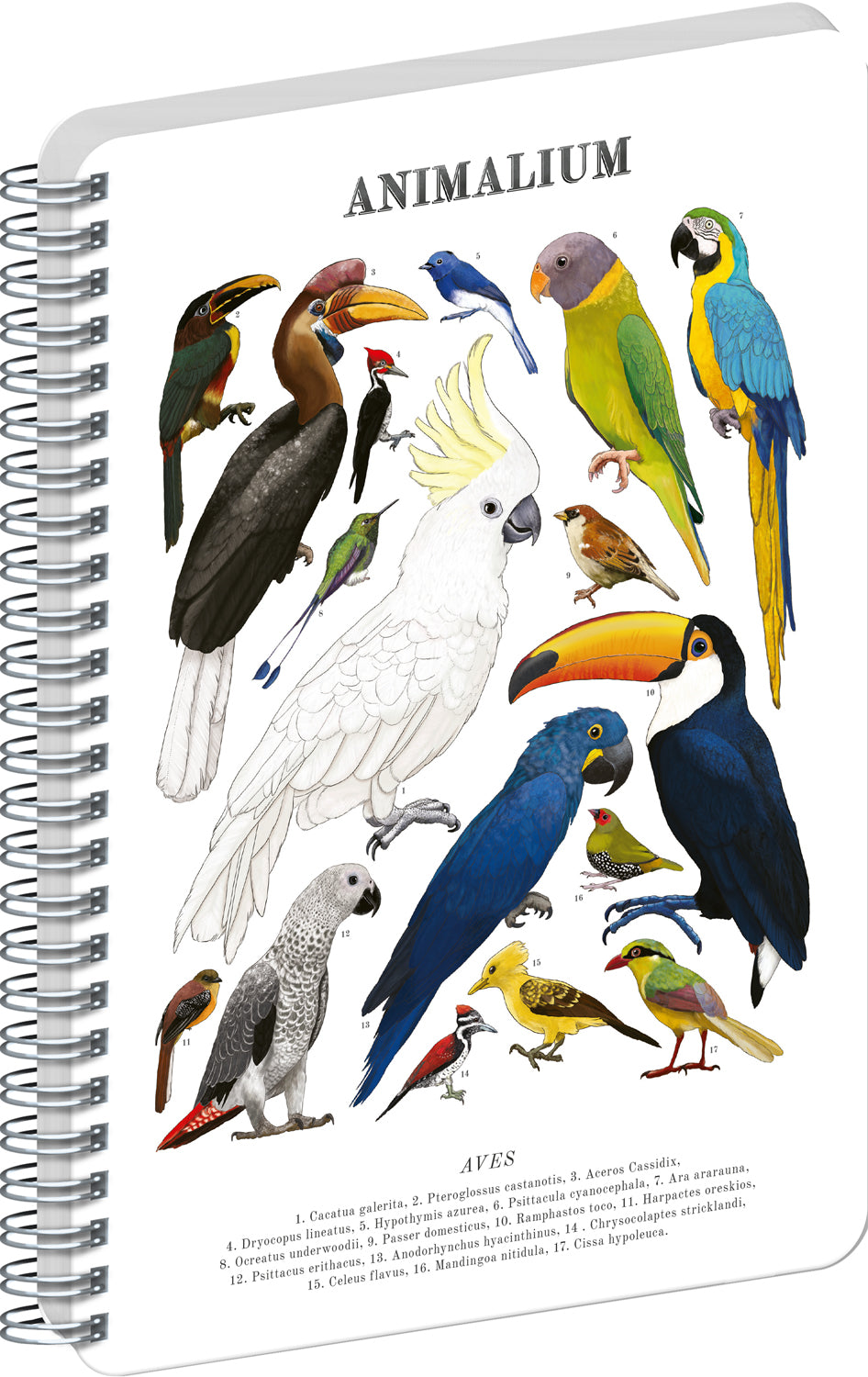 Špirálový blok Animalium – Vtáky, čistý, A4