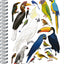 Špirálový blok Animalium – Vtáky, čistý, A5