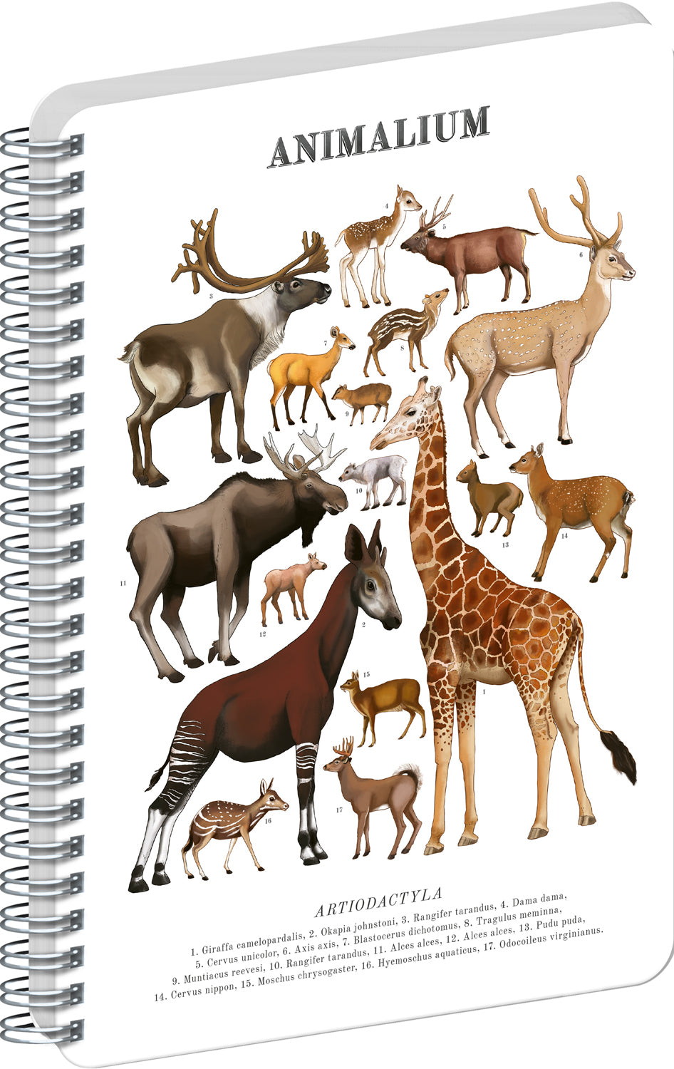 Špirálový blok Animalium – Párnokopytníky, čistý, A4