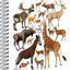 Špirálový blok Animalium – Párnokopytníky, čistý, A5