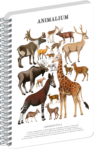 Špirálový blok Animalium – Párnokopytníky, čistý, A5