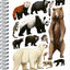 Špirálový blok Animalium – Medveďovité šelmy, čistý, A4