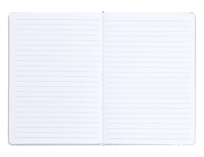 Notes NASA strieborný