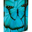 Školská sada Ergo Butterfly III