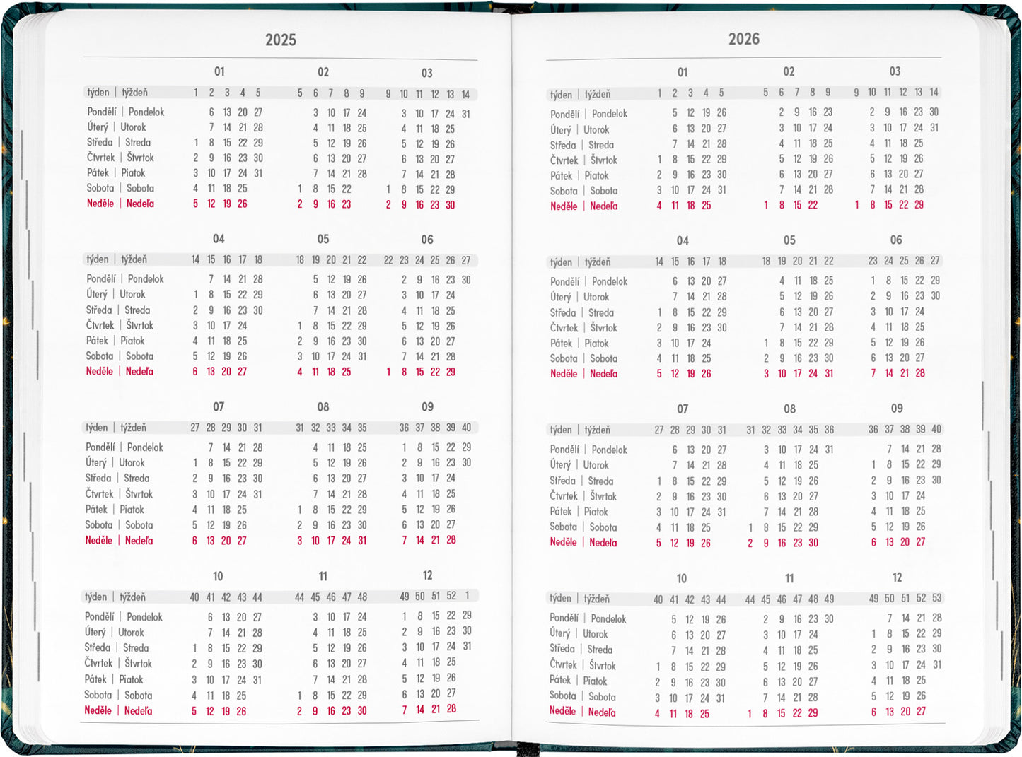 18-mesačný diár Petito – Líška 2025/2026, 11 x 17 cm