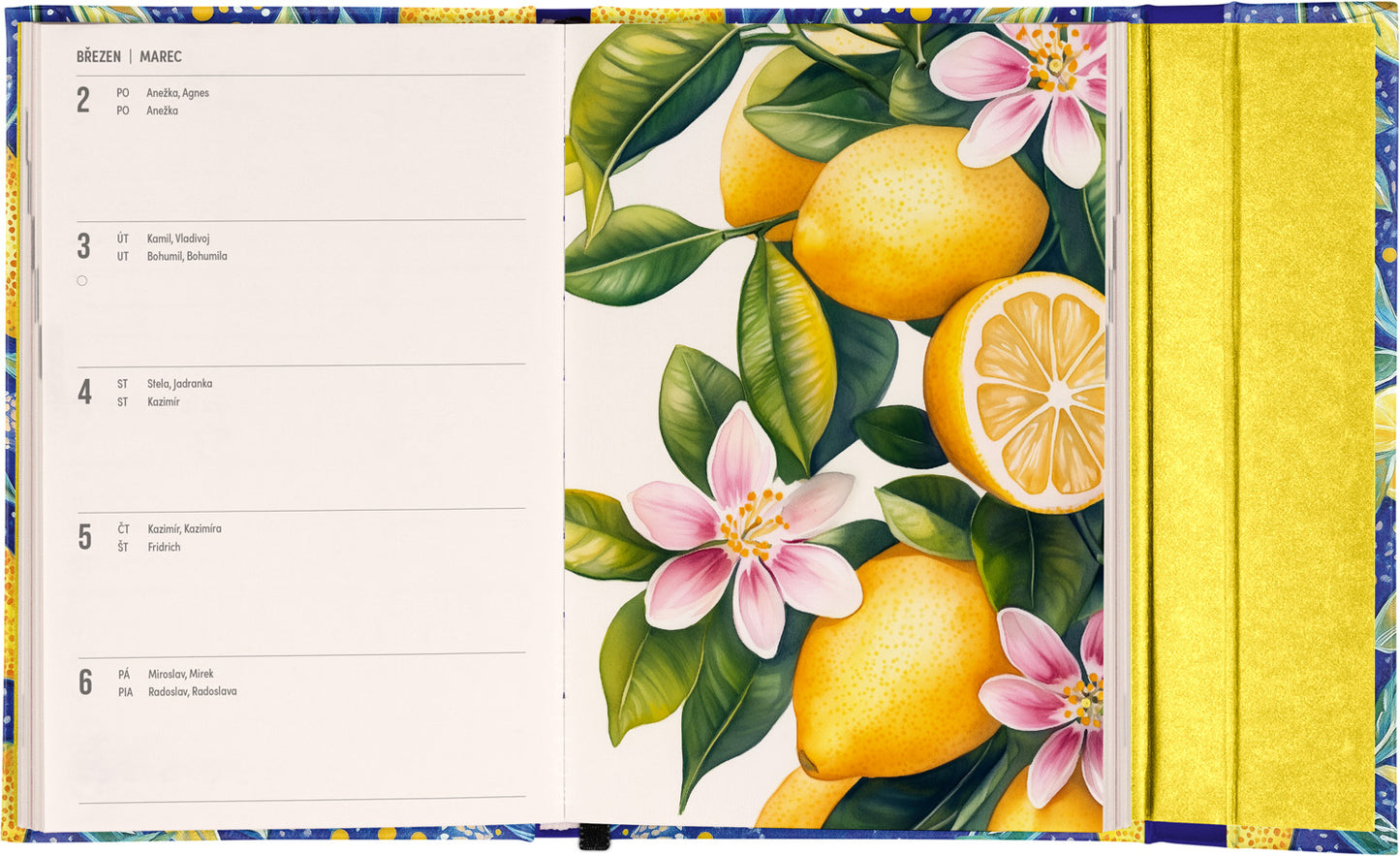 Týždenný magnetický diár Citróny 2026, 11 x 16 cm