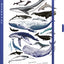 Planbook diár/notes Pod morom 2027, 13 x 21 cm
