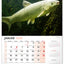 Nástenný kalendár Rybársky 2026, 33 x 46 cm