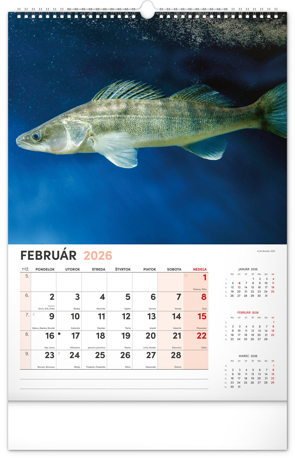 Nástenný kalendár Rybársky 2026, 33 x 46 cm