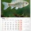 Nástenný kalendár Rybársky 2026, 33 x 46 cm