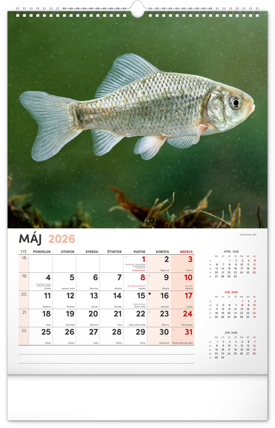 Nástenný kalendár Rybársky 2026, 33 x 46 cm