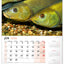 Nástenný kalendár Rybársky 2026, 33 x 46 cm