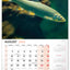 Nástenný kalendár Rybársky 2026, 33 x 46 cm
