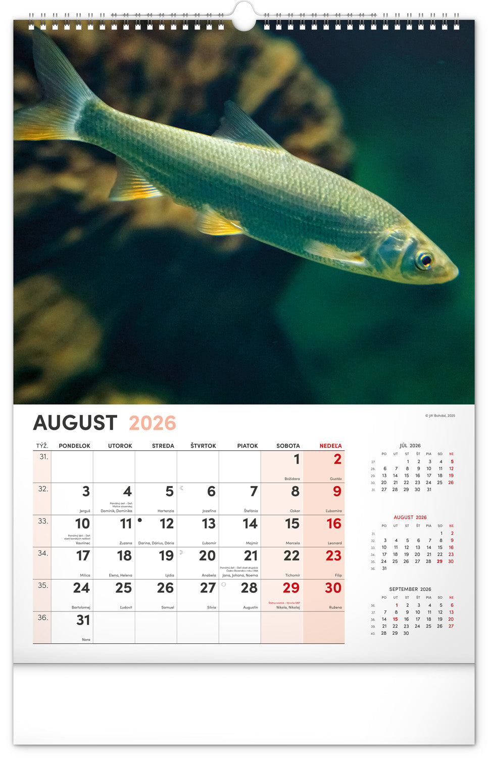 Nástenný kalendár Rybársky 2026, 33 x 46 cm