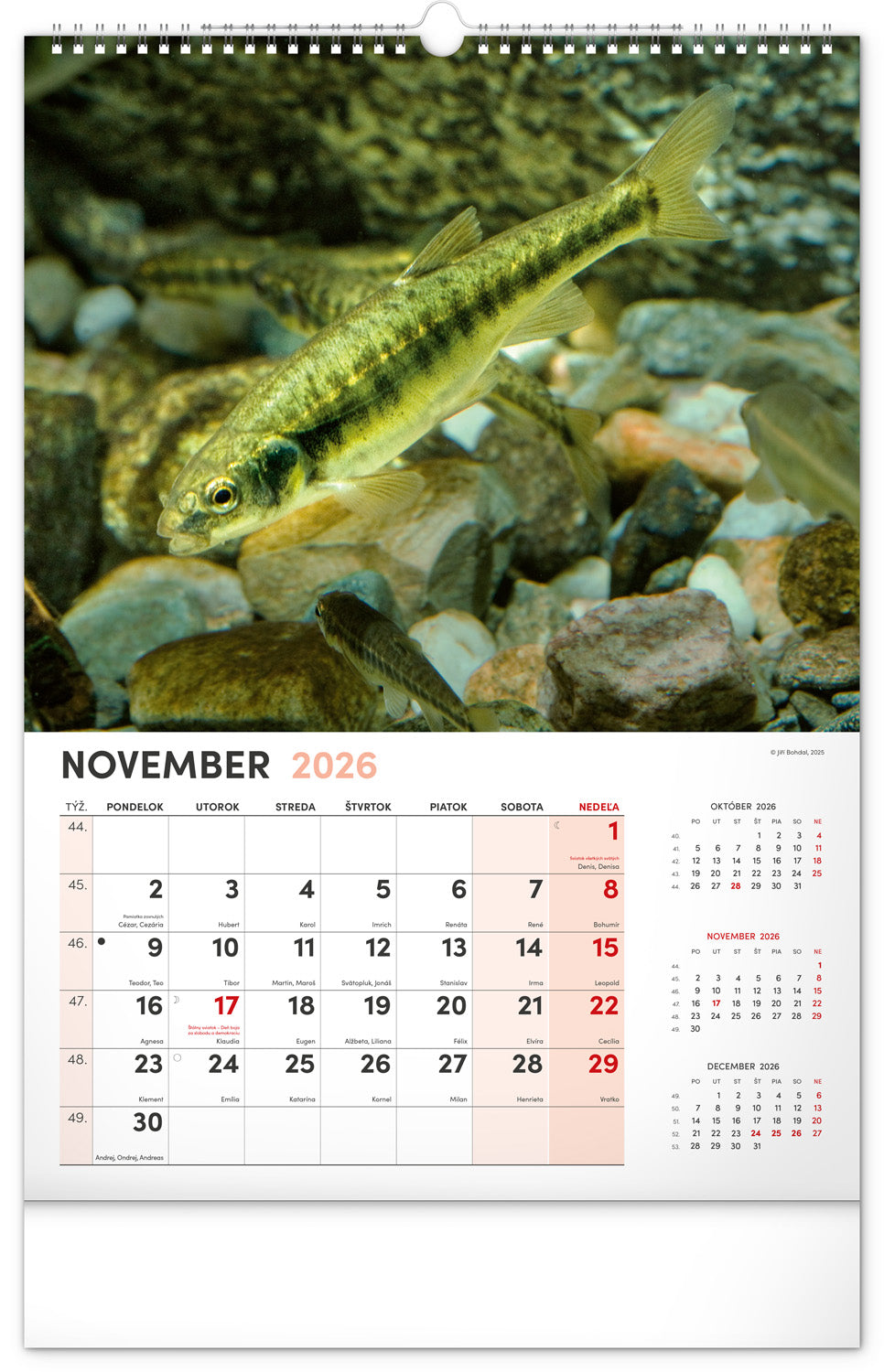 Nástenný kalendár Rybársky 2026, 33 x 46 cm