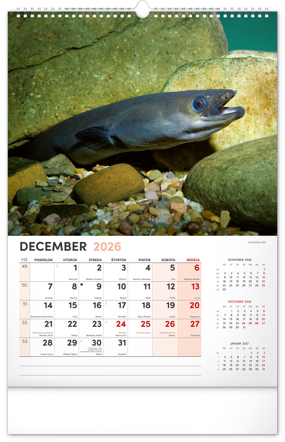 Nástenný kalendár Rybársky 2026, 33 x 46 cm