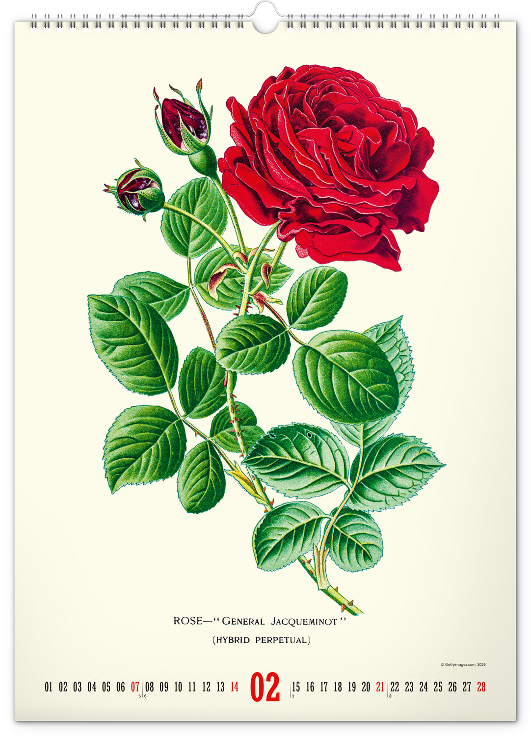 Nástenný kalendár Vintage plagáty – herbár 2027, 33 x 46 cm
