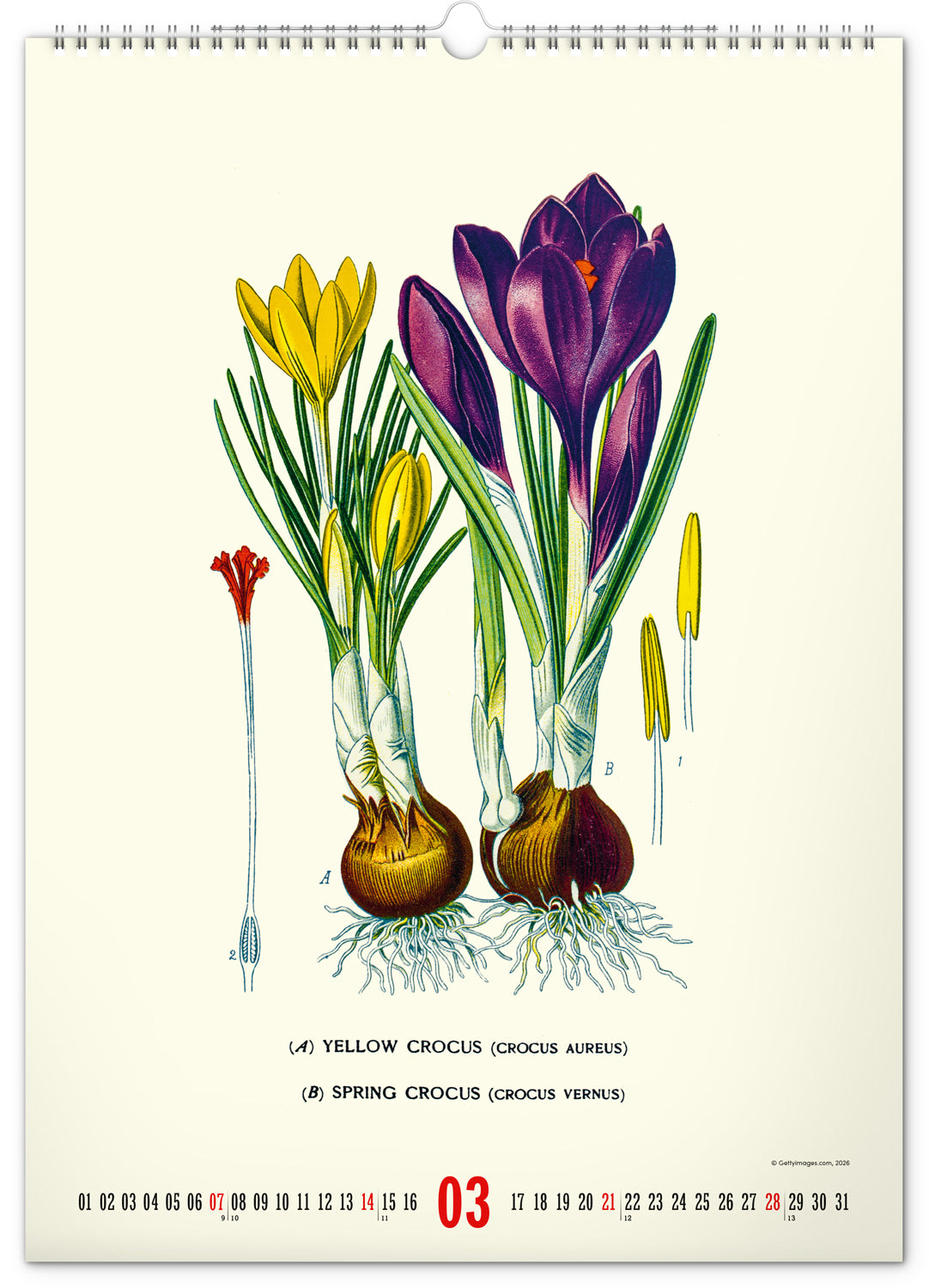 Nástenný kalendár Vintage plagáty – herbár 2027, 33 x 46 cm